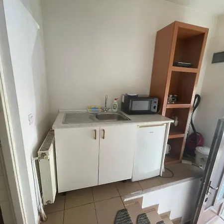 Apartment Turnul Portii *